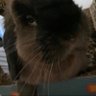 apo1lo.sol's profile picture