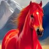 horse profil fotoğrafı