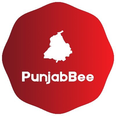 PunjabBee's profile picture