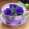 Фото профиля 💜زهره البنفسج💜