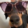 Ayelovelee's profile picture