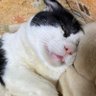 ひろ profil fotoğrafı