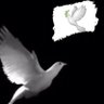 Profilbild von Gero