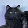 Ullde2.0 profil fotoğrafı