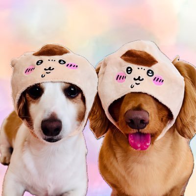 まつののつま's profile picture