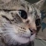 Trav profil fotoğrafı