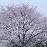 くう☆ profil fotoğrafı