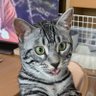きゃおりん🍀's profile picture