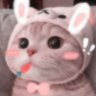 Da_gamii. profil fotoğrafı