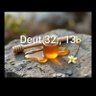 Profilbild von HoneyoutofDeRock