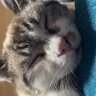 培å€'s profile picture