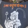 Yogi's profile picture