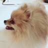 クレアーノきみりん profil fotoğrafı