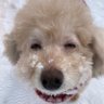 t.kazu.coco's profile picture