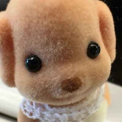 신쓰's profile picture