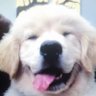 Profilbild von SCBricky