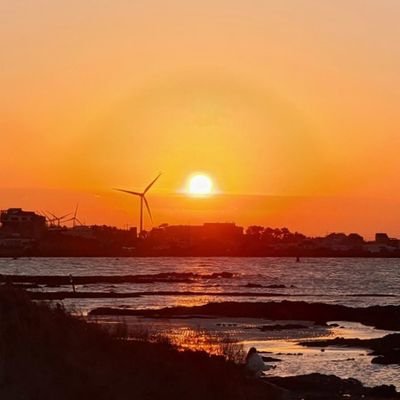 daily_noeul's profile picture