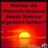 Ungefilterte Meinung's profile picture
