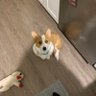 Janet d's profile picture