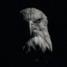mr.k's profile picture