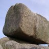 Profilbild von rockfucker