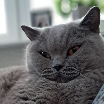 LeszekBaszczys1's profile picture