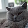 Leszek opeszek's profile picture