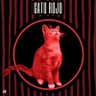 El gato rojo's profile picture