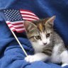 Americat 🇺🇸🐈‍⬛ profil fotoğrafı