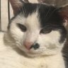 martoxik's profile picture