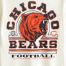 Just Another Chicago Sports Fan 的头像