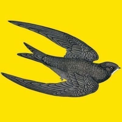 Ebabila Kusu's profile picture