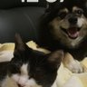 そらママ profil fotoğrafı