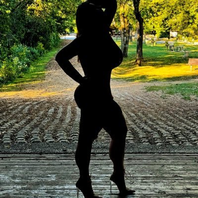 vixensstory's profile picture