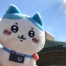 Profilbild von 坂本