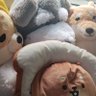 アニ 的头像