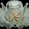 Asmaa's profile picture