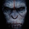 Profilbild von ASLEN KARA (H3R4CL1S)