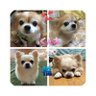 福くん太's profile picture