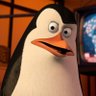 Eduard's profile picture