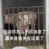 草莓吐司夾麥克雞塊 的头像