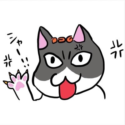 nekokumi_staff's profile picture