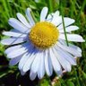 Christine *'s profile picture