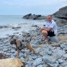 Rob's profile picture