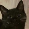 Burnout900012's profile picture