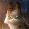 L's profile picture