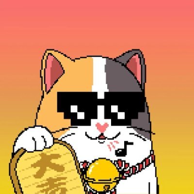 Crypto金币's profile picture