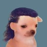 sol.engineer's profile picture