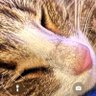 boeremeisje profil fotoฤrafฤฑ