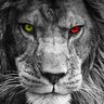 Mazestro's profile picture
